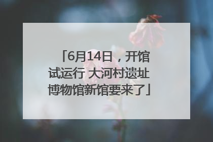 6月14日，开馆试运行 大河村遗址博物馆新馆要来了