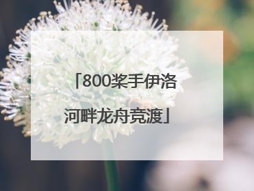800桨手伊洛河畔龙舟竞渡