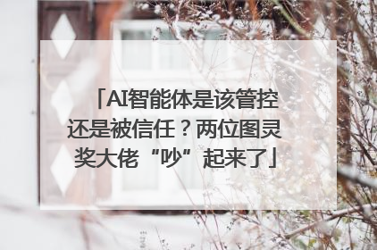 AI智能体是该管控还是被信任？两位图灵奖大佬“吵”起来了